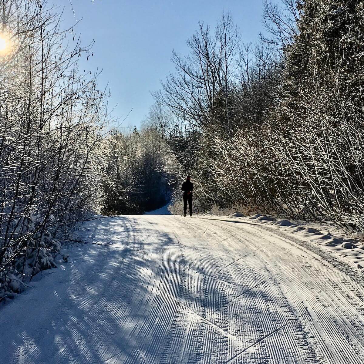 Pausing to reflect while cross country skiing on Excelsior Road on Christmas Day