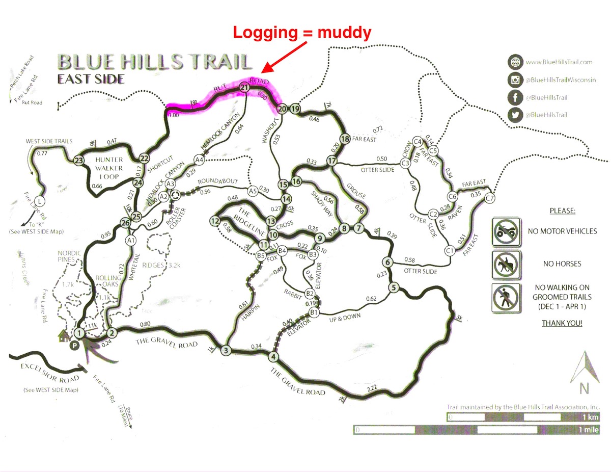 Logging activity on East Side of the Blue Hills Trail