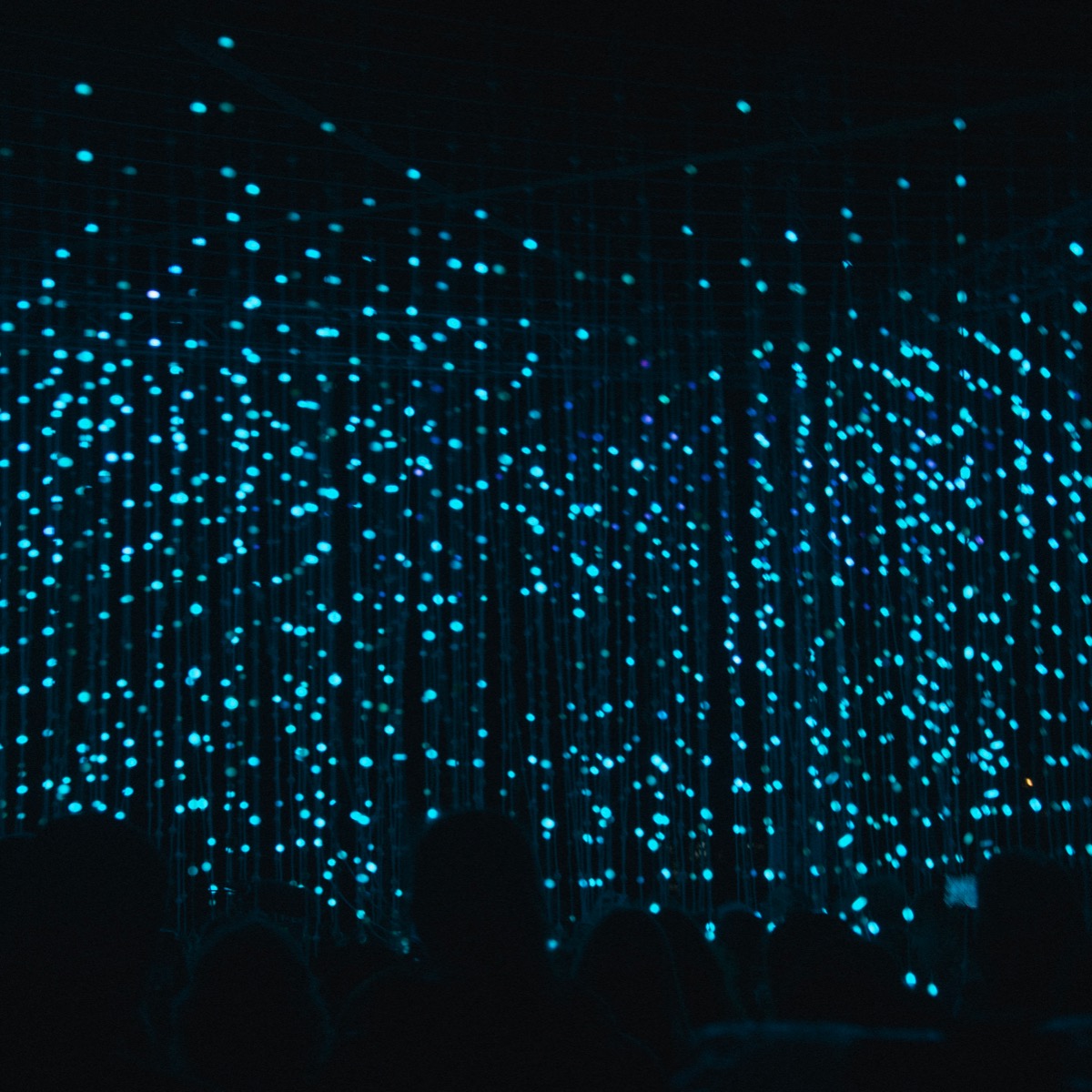 What Is Promethease? How To Use It To Understand Your Genome For The