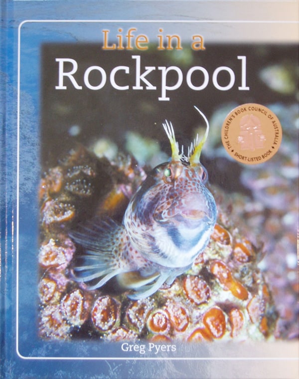 Life in a Rockpool
