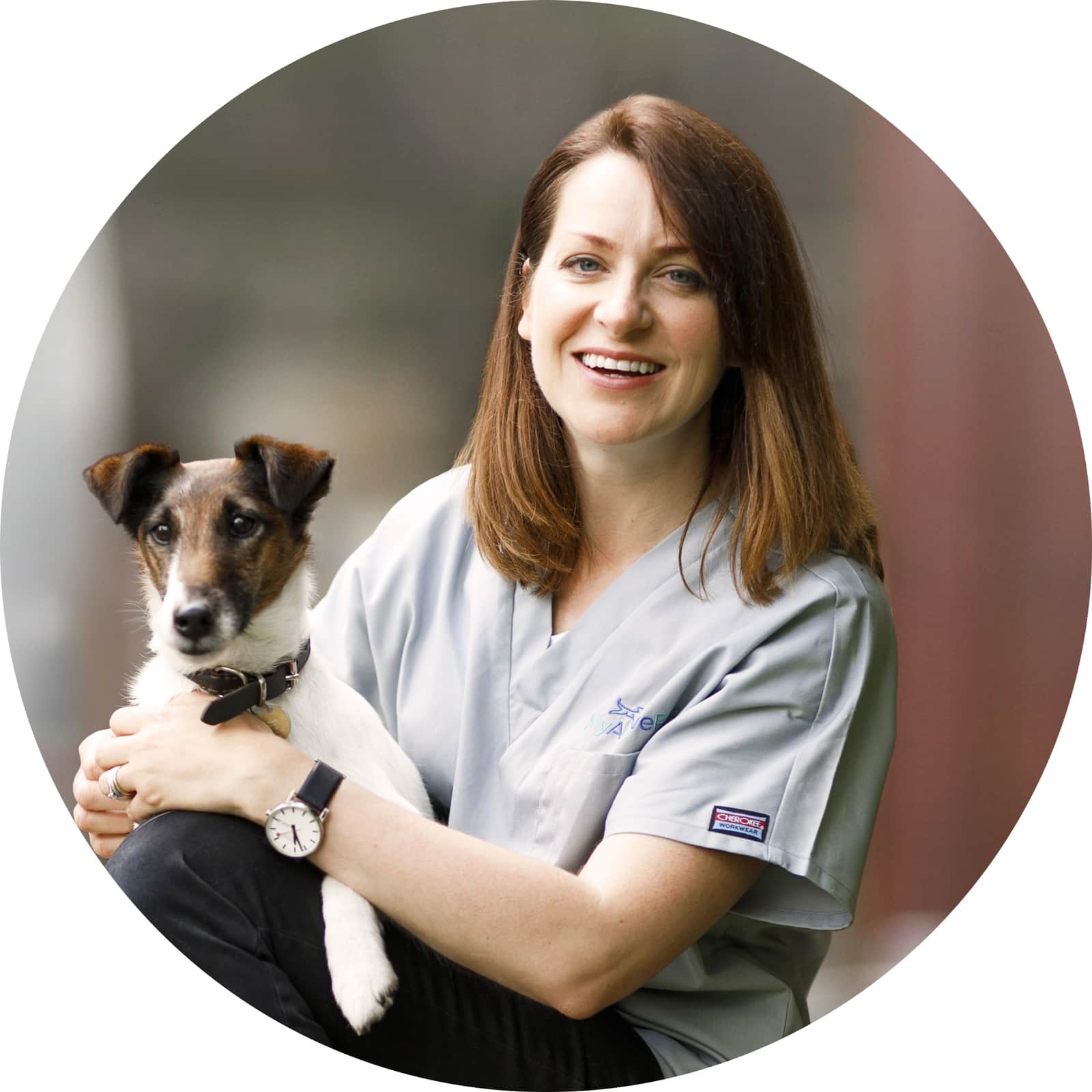 My Active Pet Experts in Pet Rehabilitation