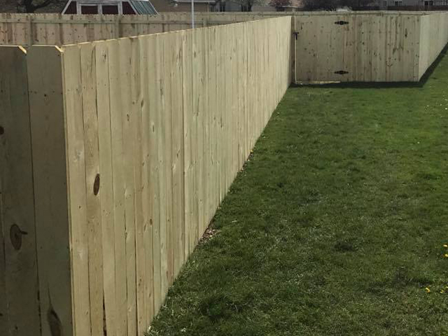 treated privacy fence