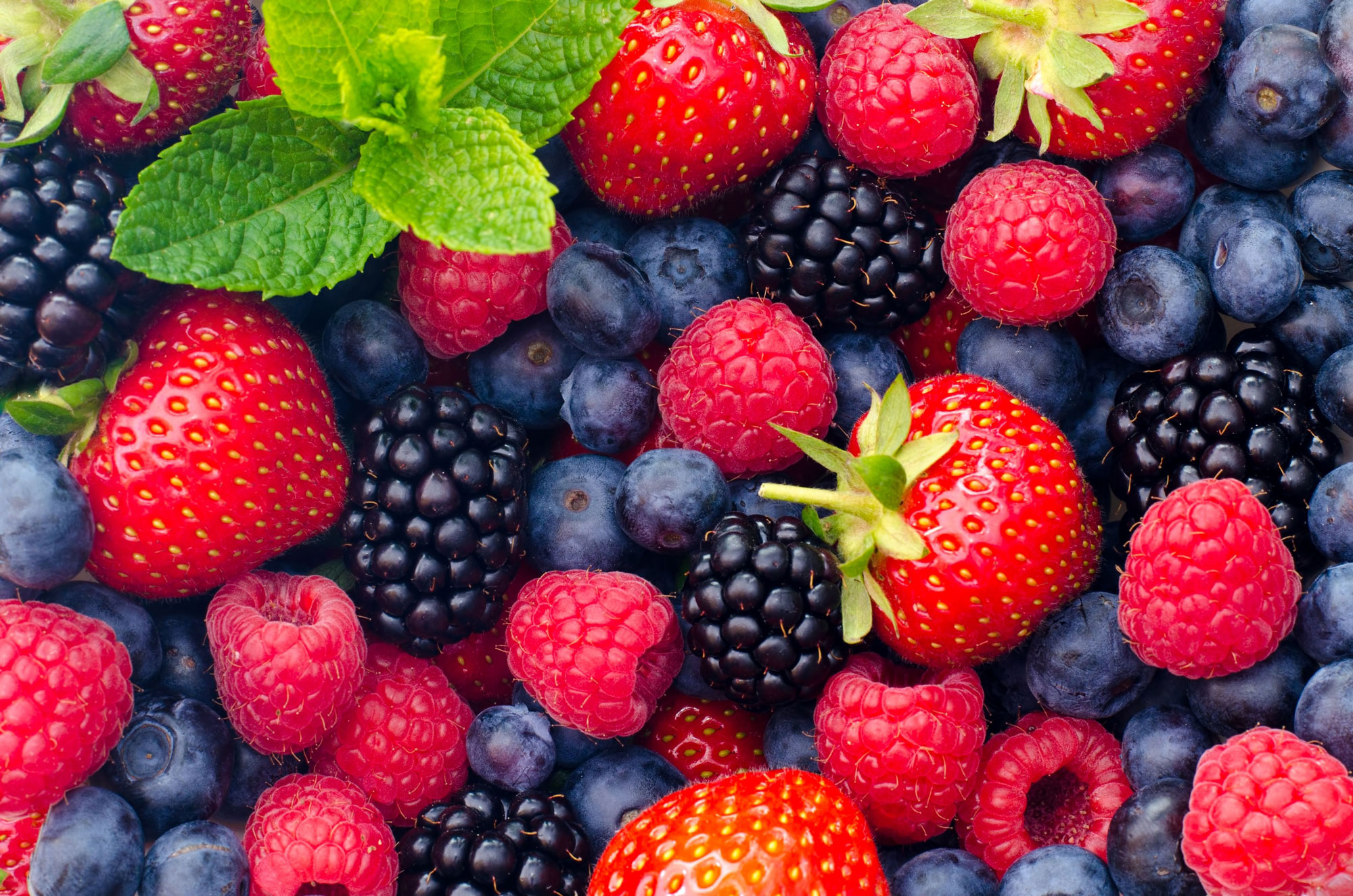 Olympia Farmers Market Berry Harvest Celebration, Saturday, June 29