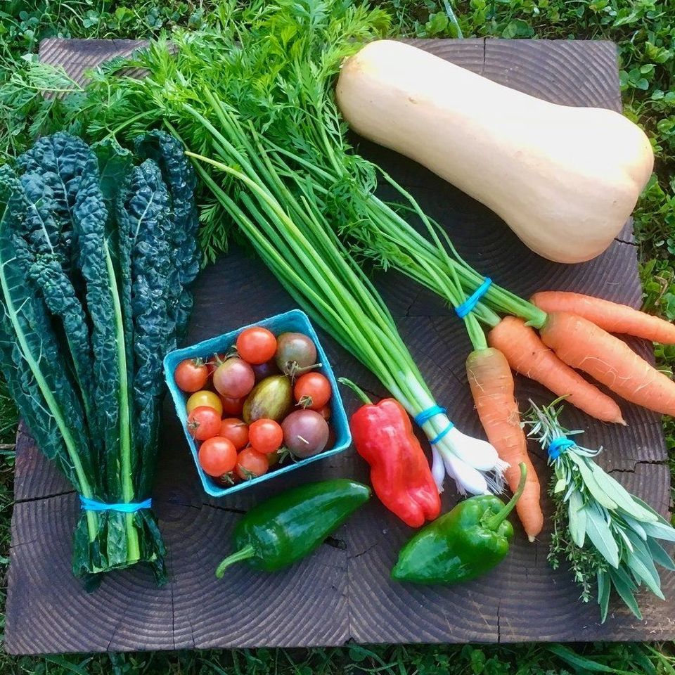 Skokomish Valley Farms is Now Selling Their Eggs as Part of Our Online