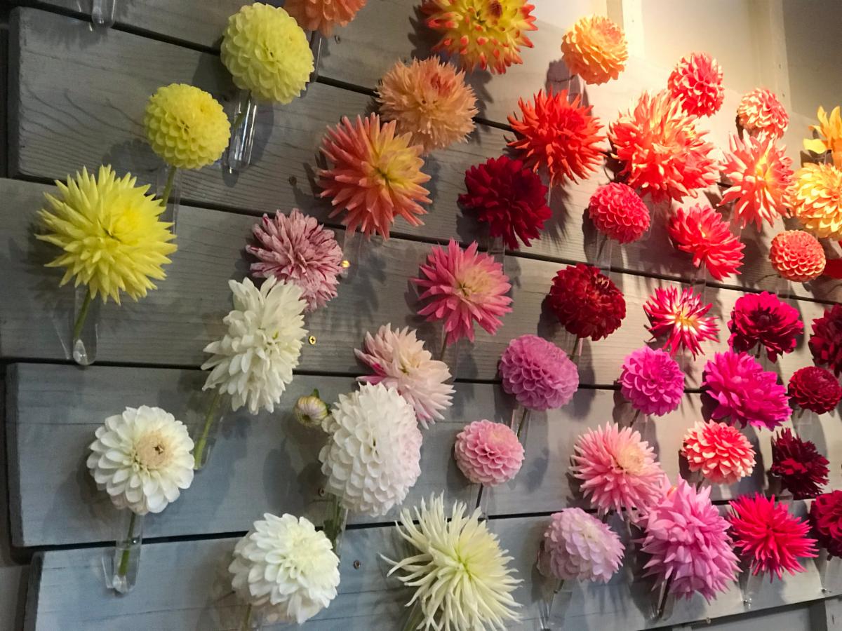 We Still Have Fresh Flowers!