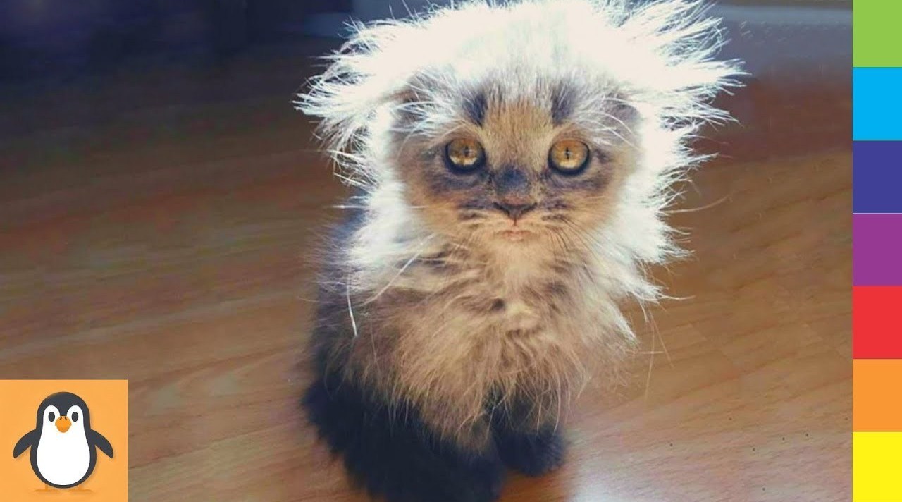 Catalyst Benefits Group