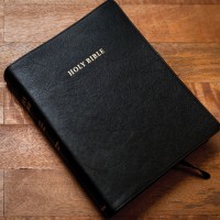 Bibles