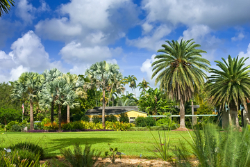 personal-injury-lawyers-miami-gardens