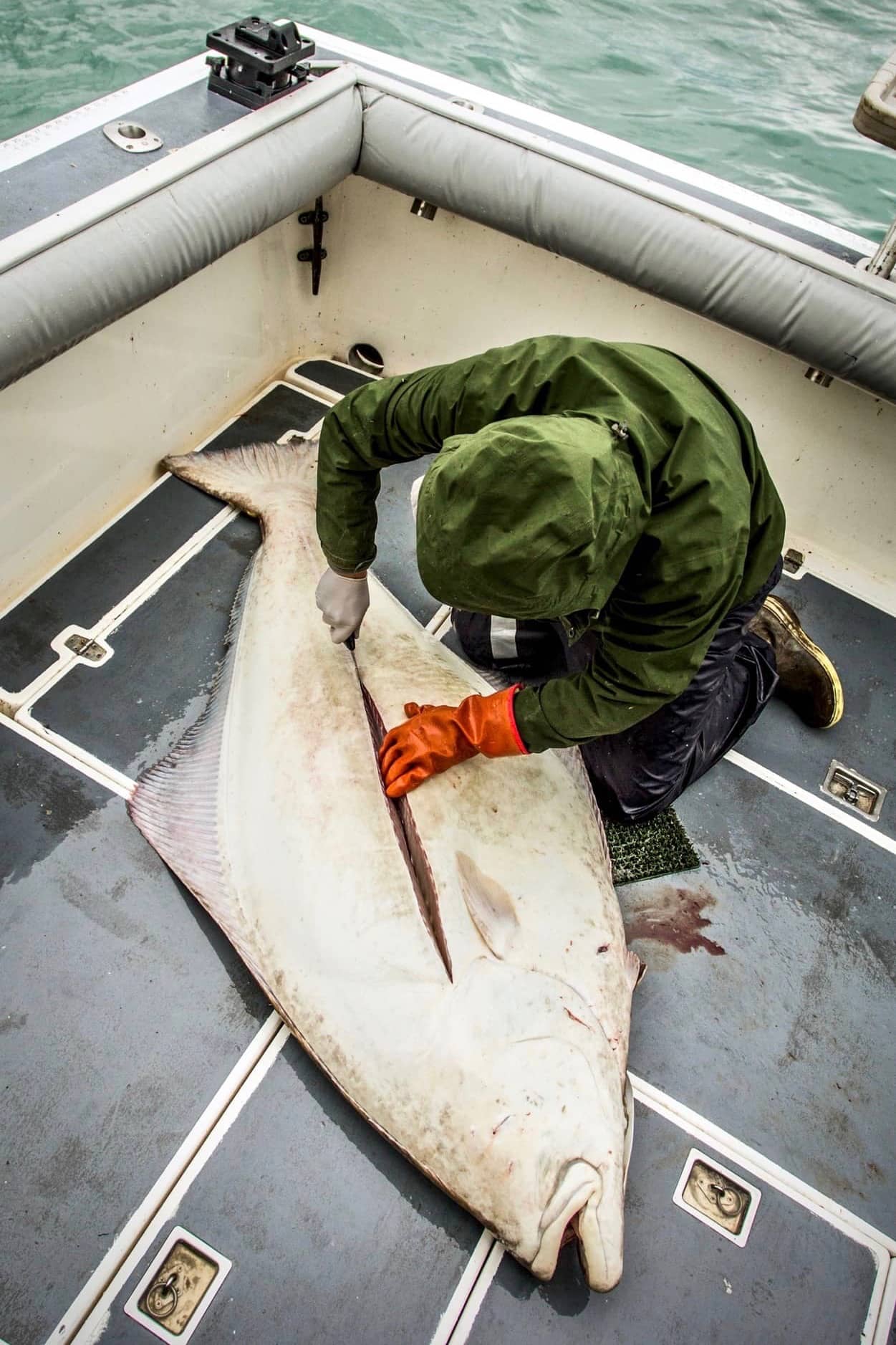 DeepStrike Sportfishing Alaska Halibut Fishing Trips