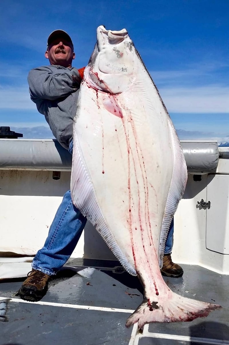 DeepStrike Sportfishing Alaska Halibut Fishing Trips