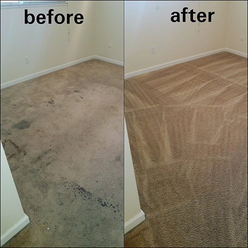 5Star Carpet Cleaning in Turlock, CA Fresh Step Carpet Cleaning
