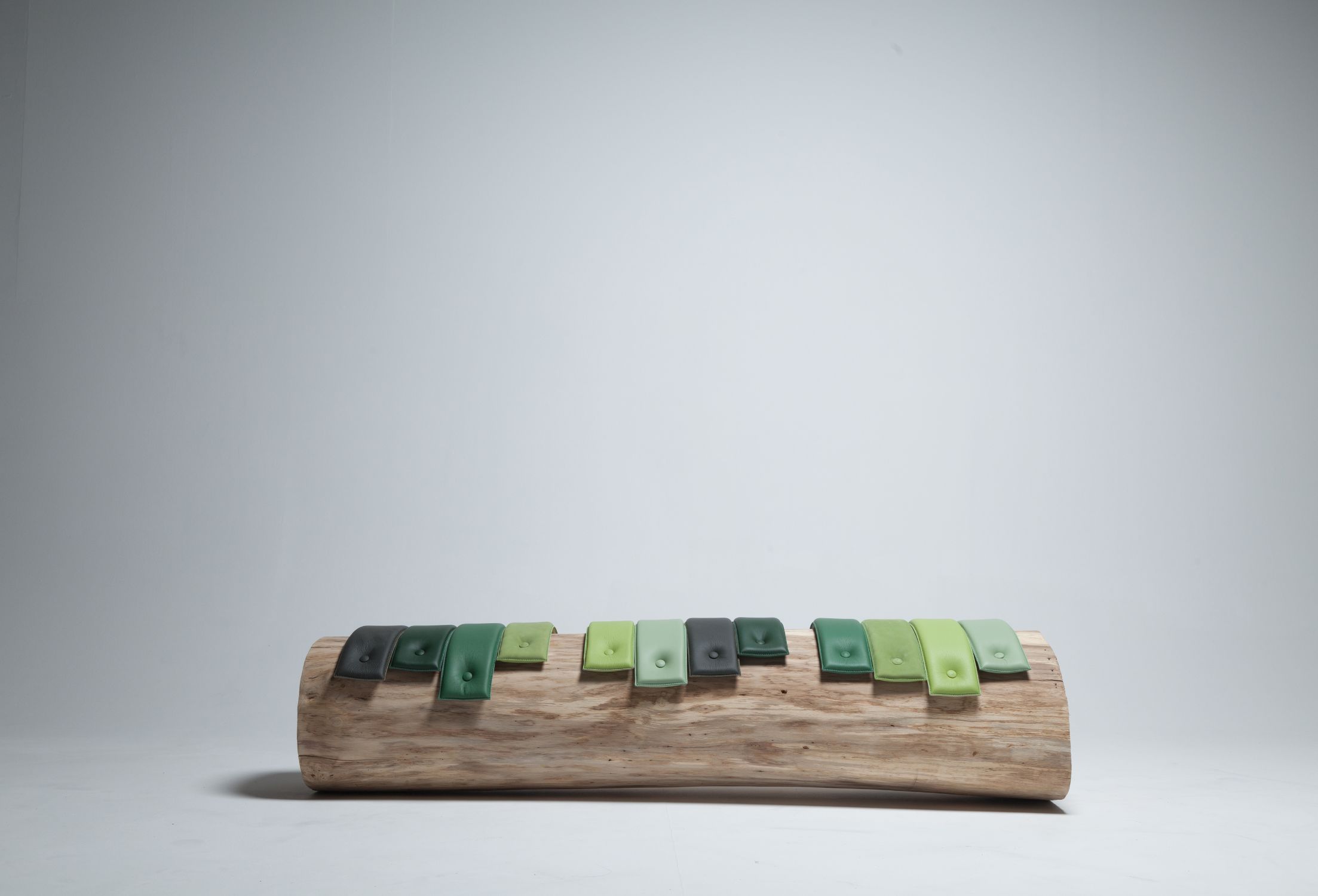 Transformations Tree Trunk Benches