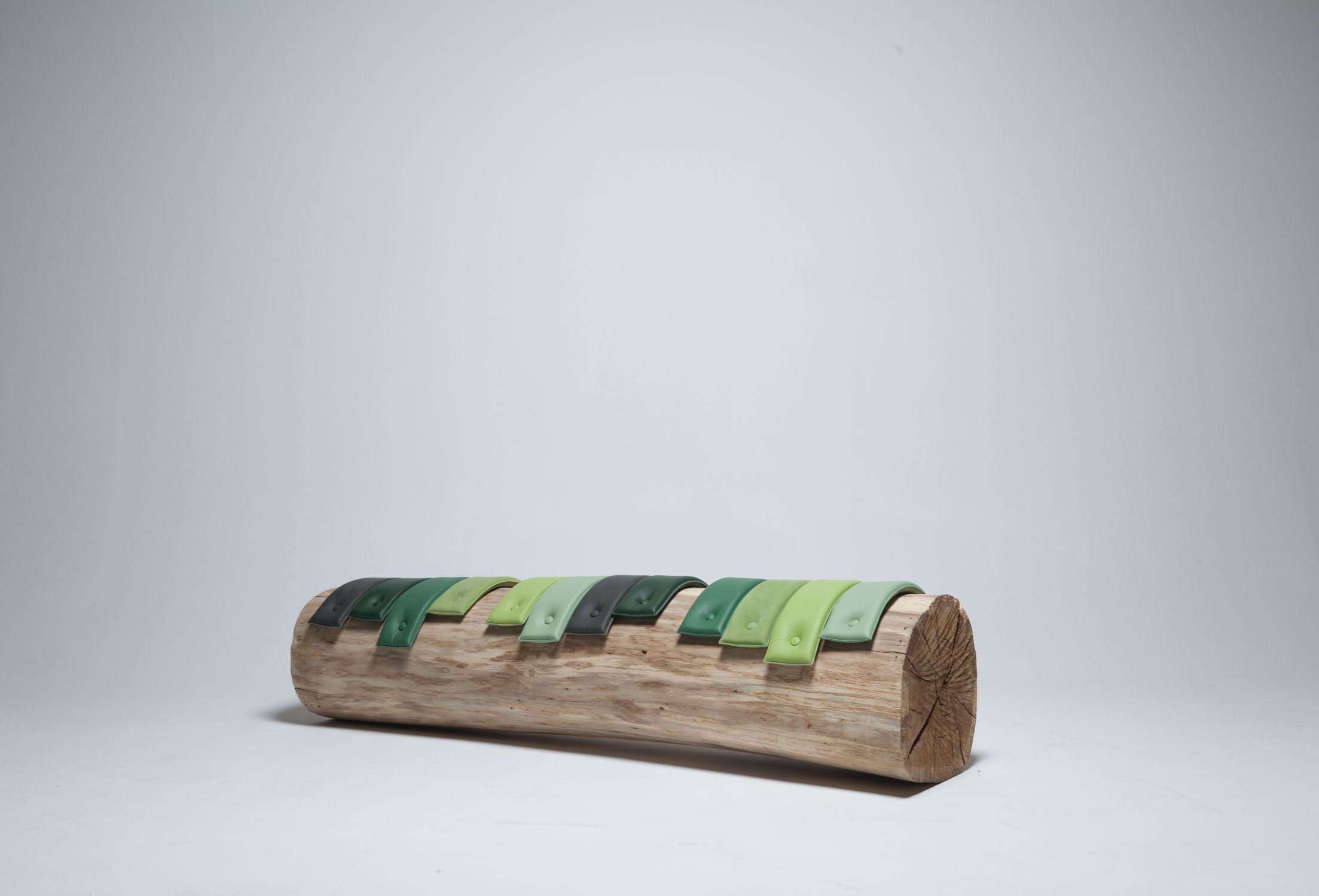 Transformations Tree Trunk Benches