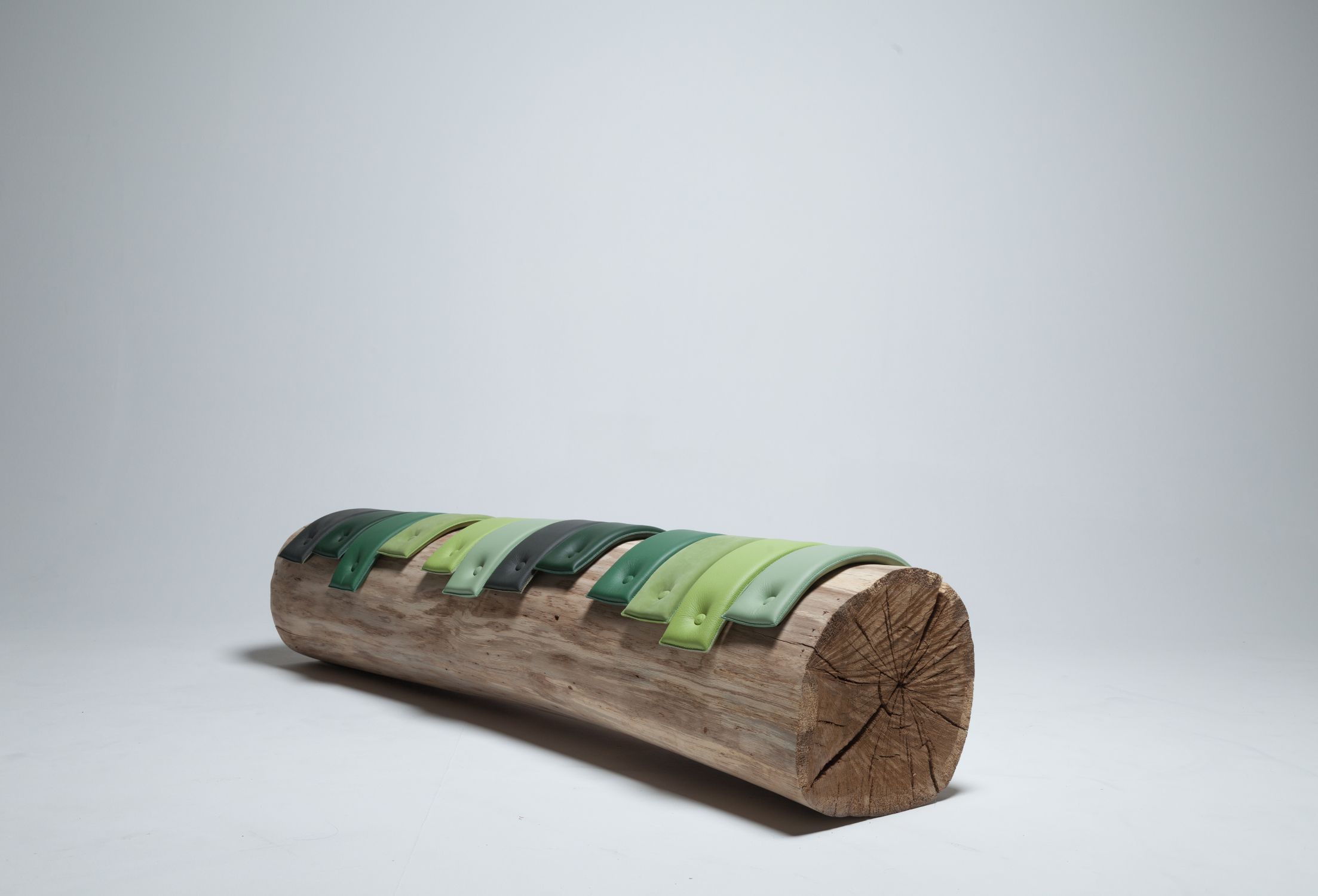 Transformations Tree Trunk Benches