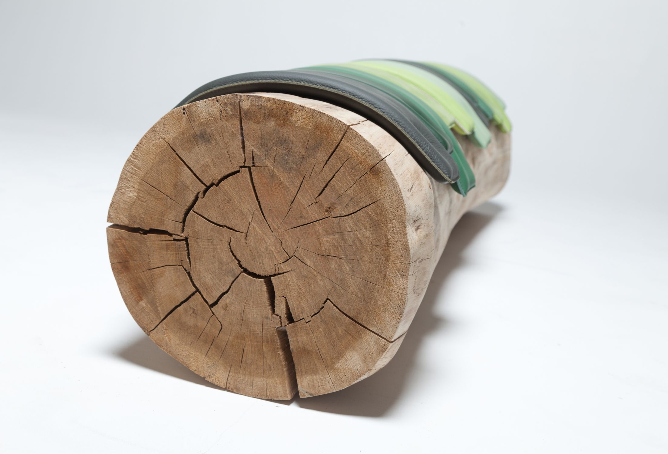 Transformations Tree Trunk Benches