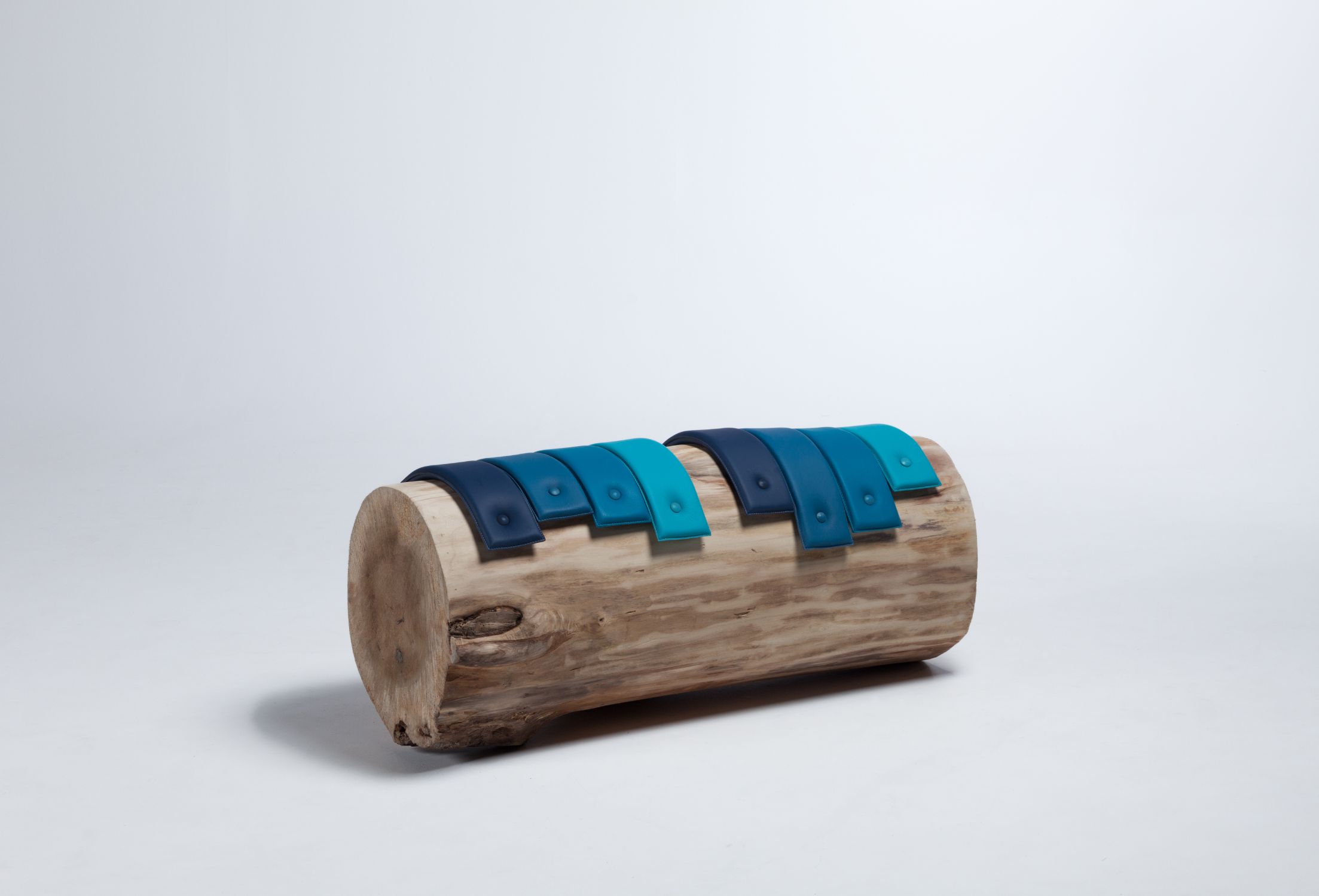 Transformations Tree Trunk Benches