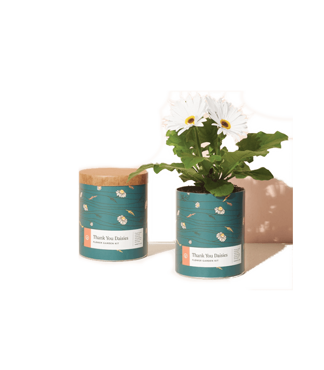Modern Sprout Waxed Planters - Thank You Daisies