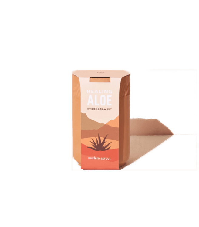 Modern Sprout Terracotta Kit - Aloe