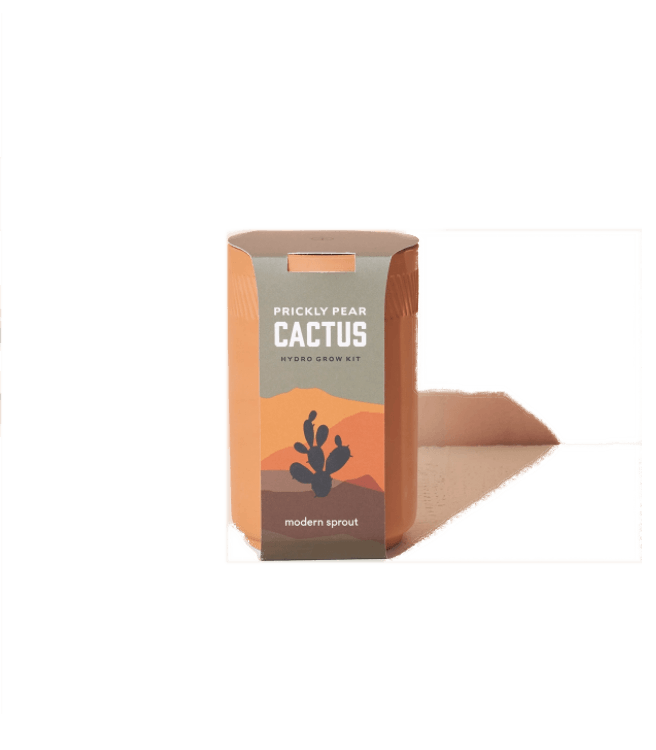 Modern Sprout Terracotta Kit - Cactus