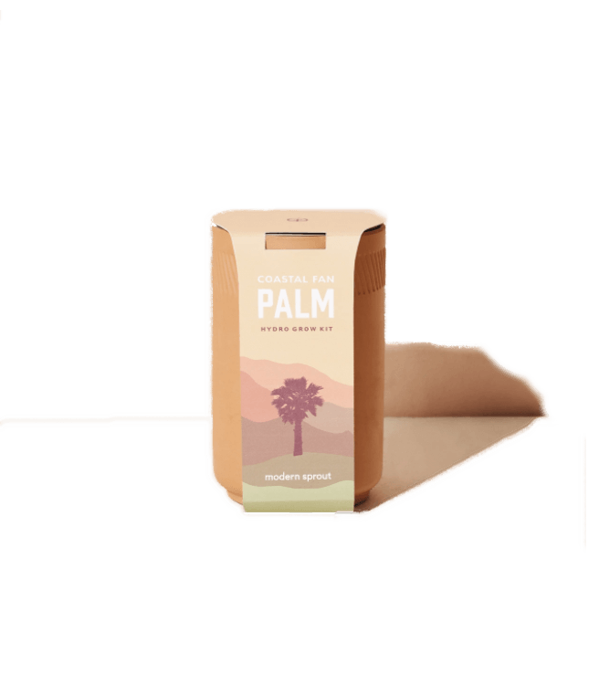 Modern Sprout Terracotta Kit - Palm