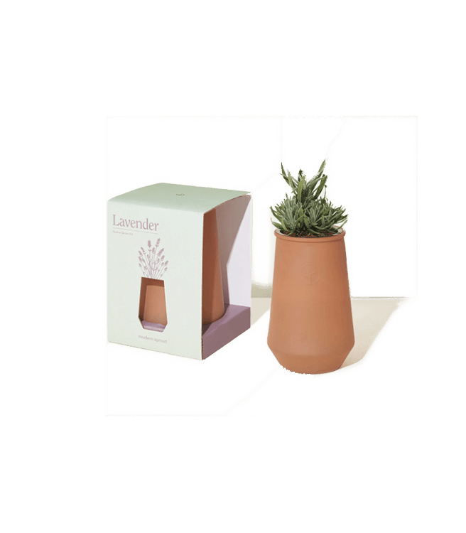 Modern Sprout Tapered Tumbler Grow Kit Lavender