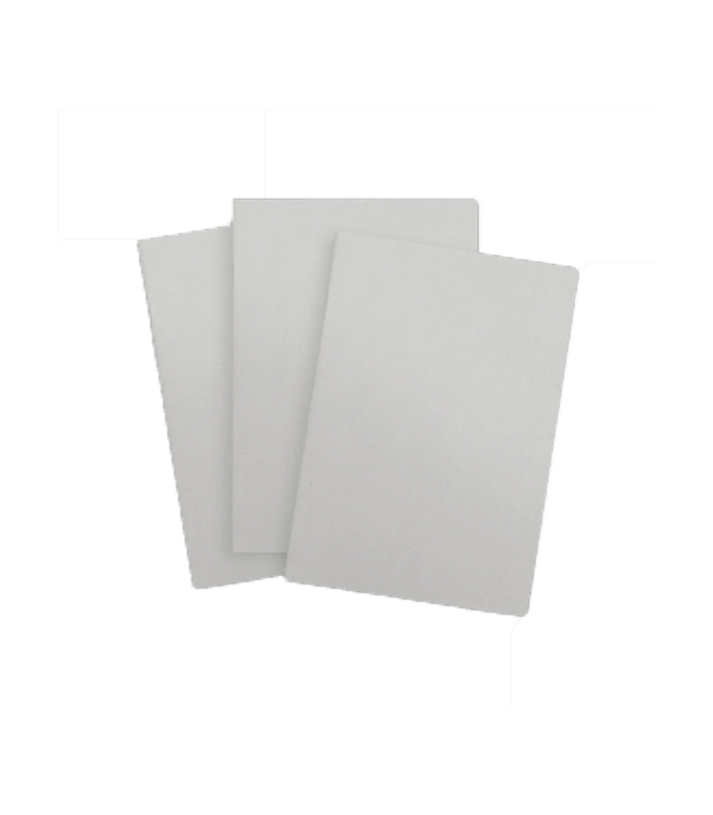 Baron Fig Vanguard Softcover Notebook Plus - Light Gray