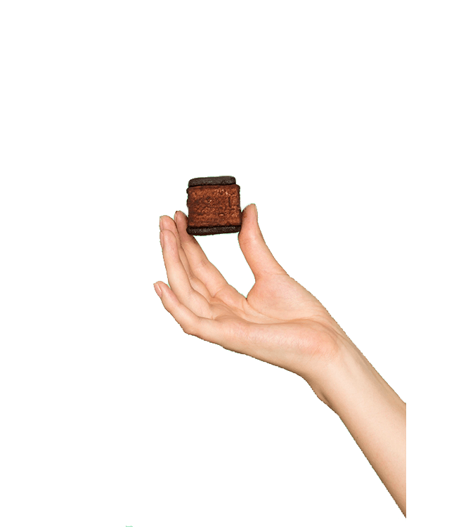 Chocolate Malvi S'mores