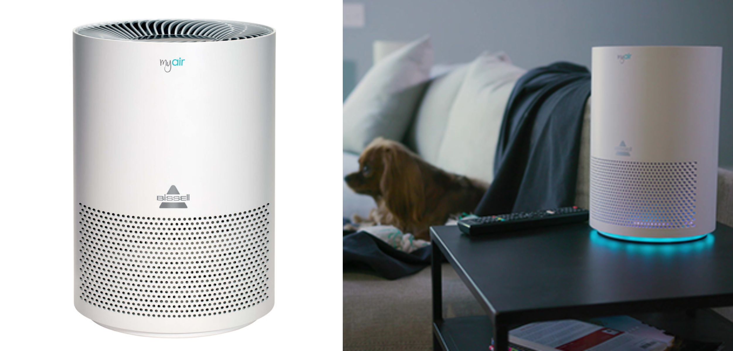Bissel MyAir Personal Air Purifier