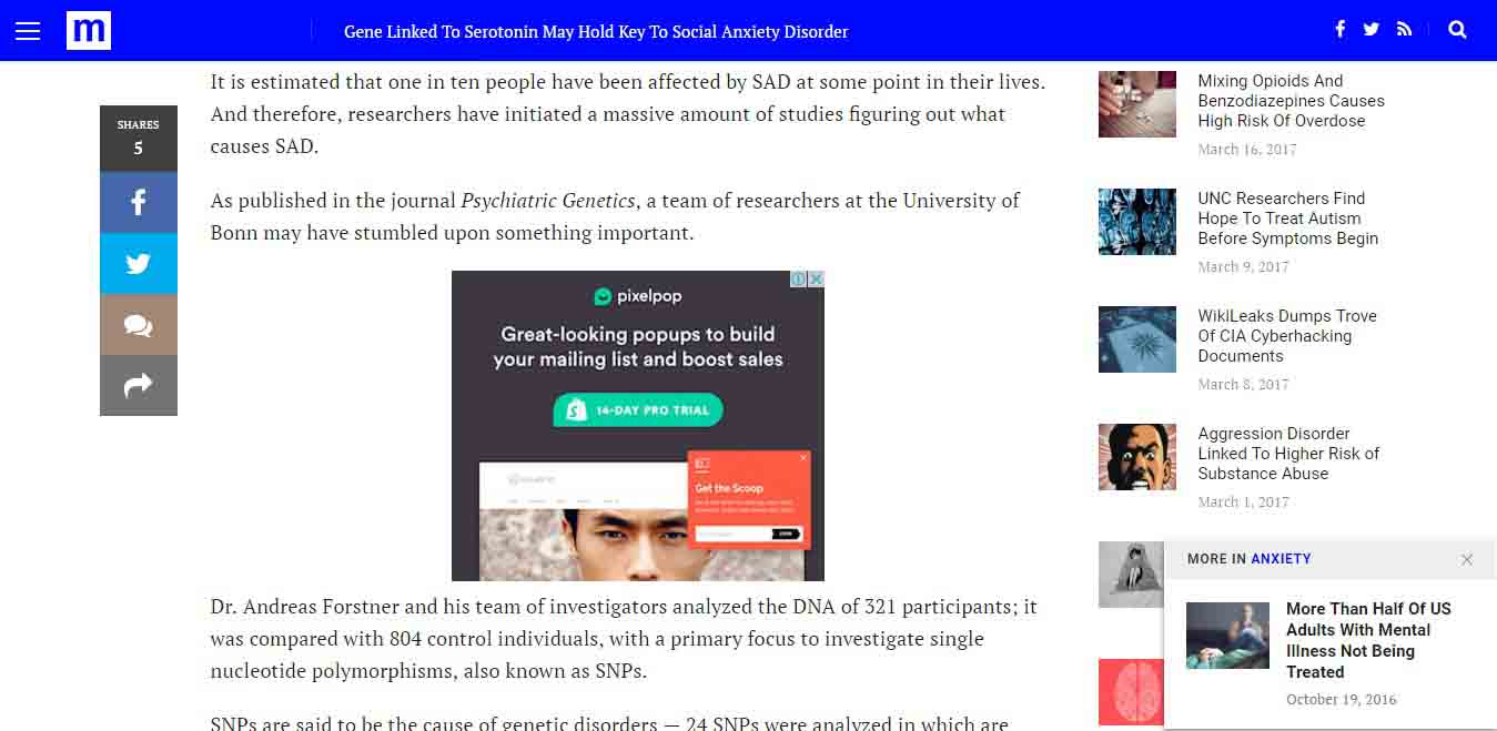 Hidden Limitations Of Using Website Templates