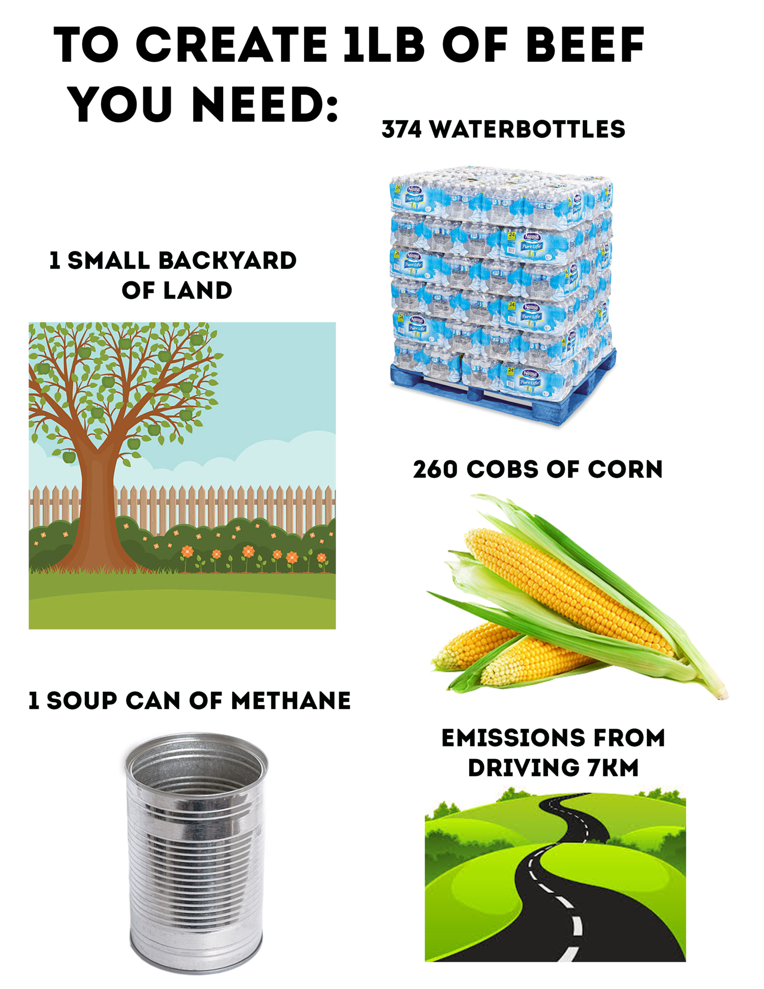 MeatWasteGrahpic.png