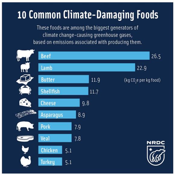 climate-damaging-foods.jpg