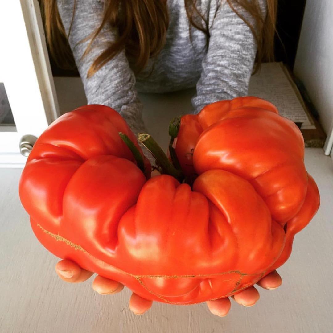 Credit: @uglyfruitandveg