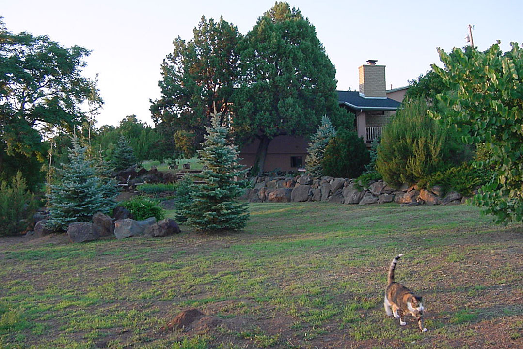 THE RANCH Vacation Rentals Show Low, Arizona