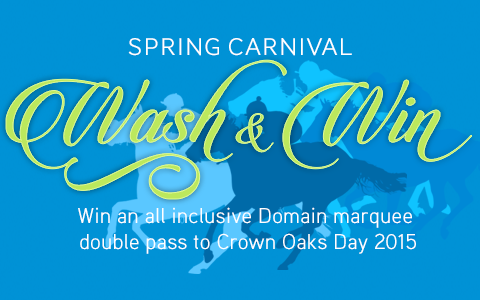 Spring Carnival - Wash & Win