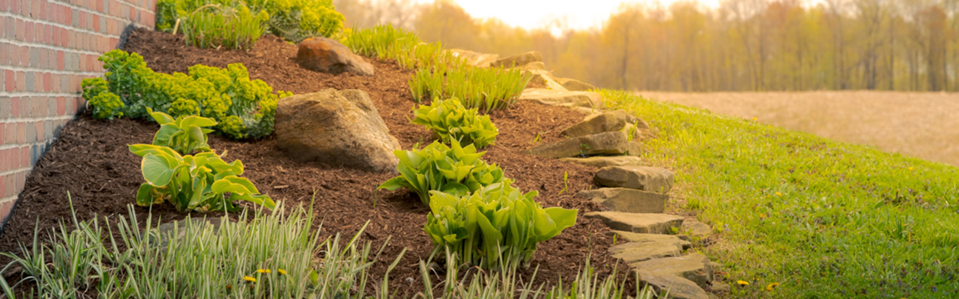 Optimal Mulch Depth Rogue Property Solutions