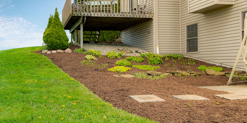 Optimal Mulching Depth