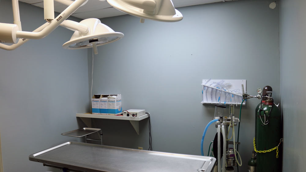 Facility and Equipment South Arkansas Veterinary Hospital