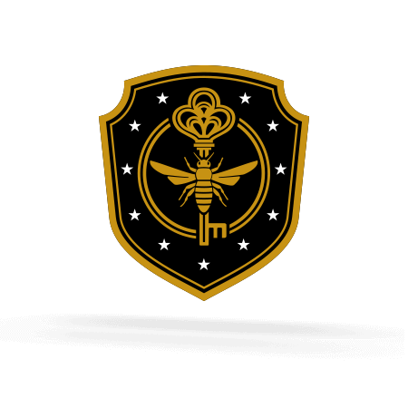 create the navigation experience through animated interactions