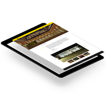 define the requirements, build the concept and implement the product or event