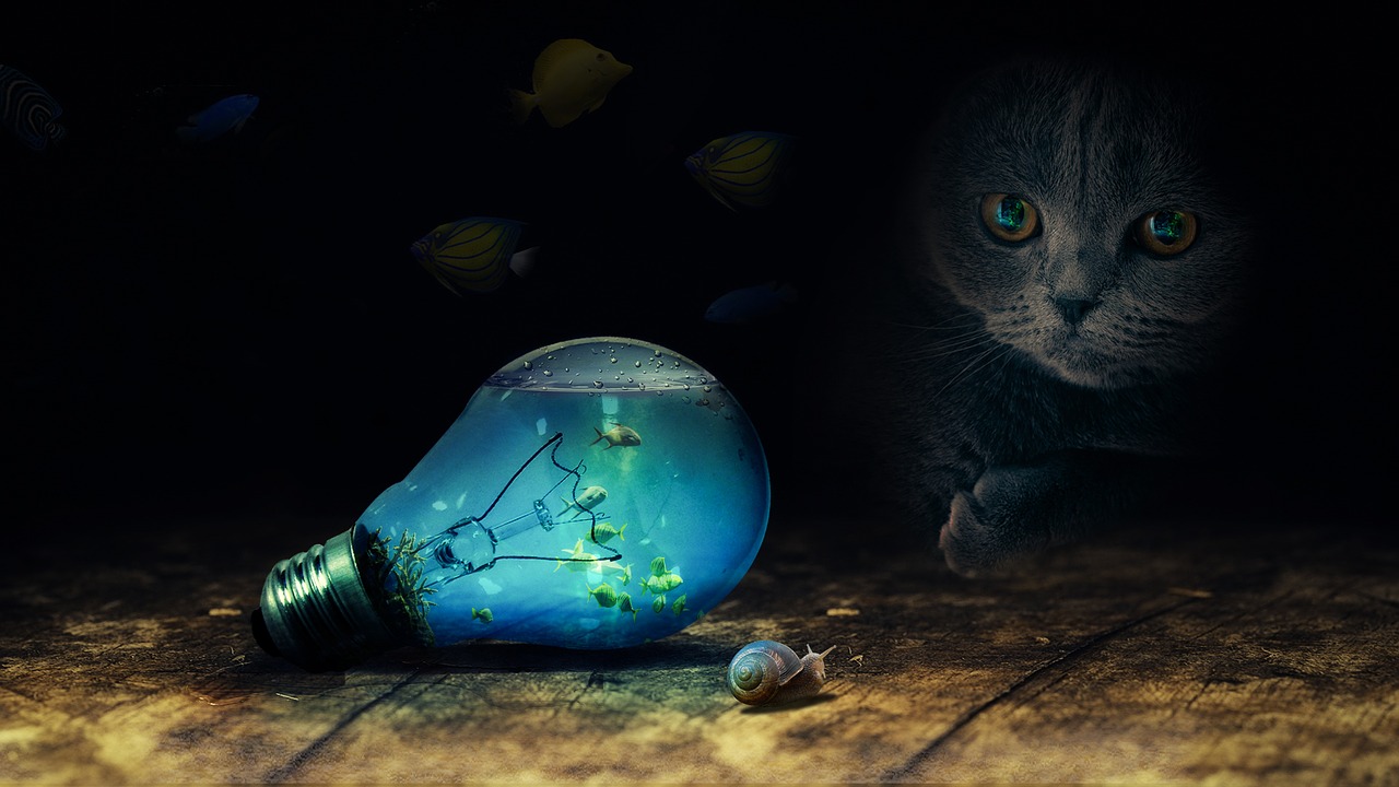 Fotobewerking met gemaakt met Photoshop