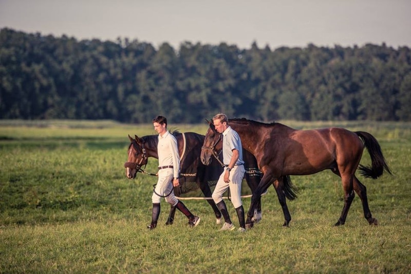 The Jack Dodd Foundation