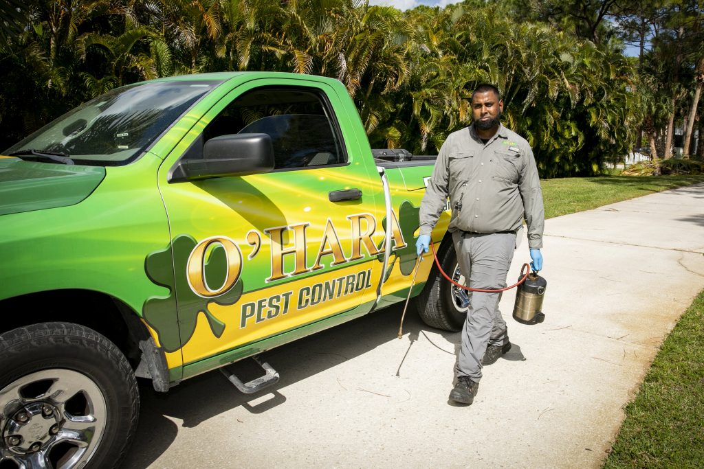 Top 8 Pests Found in Commercial Kitchens