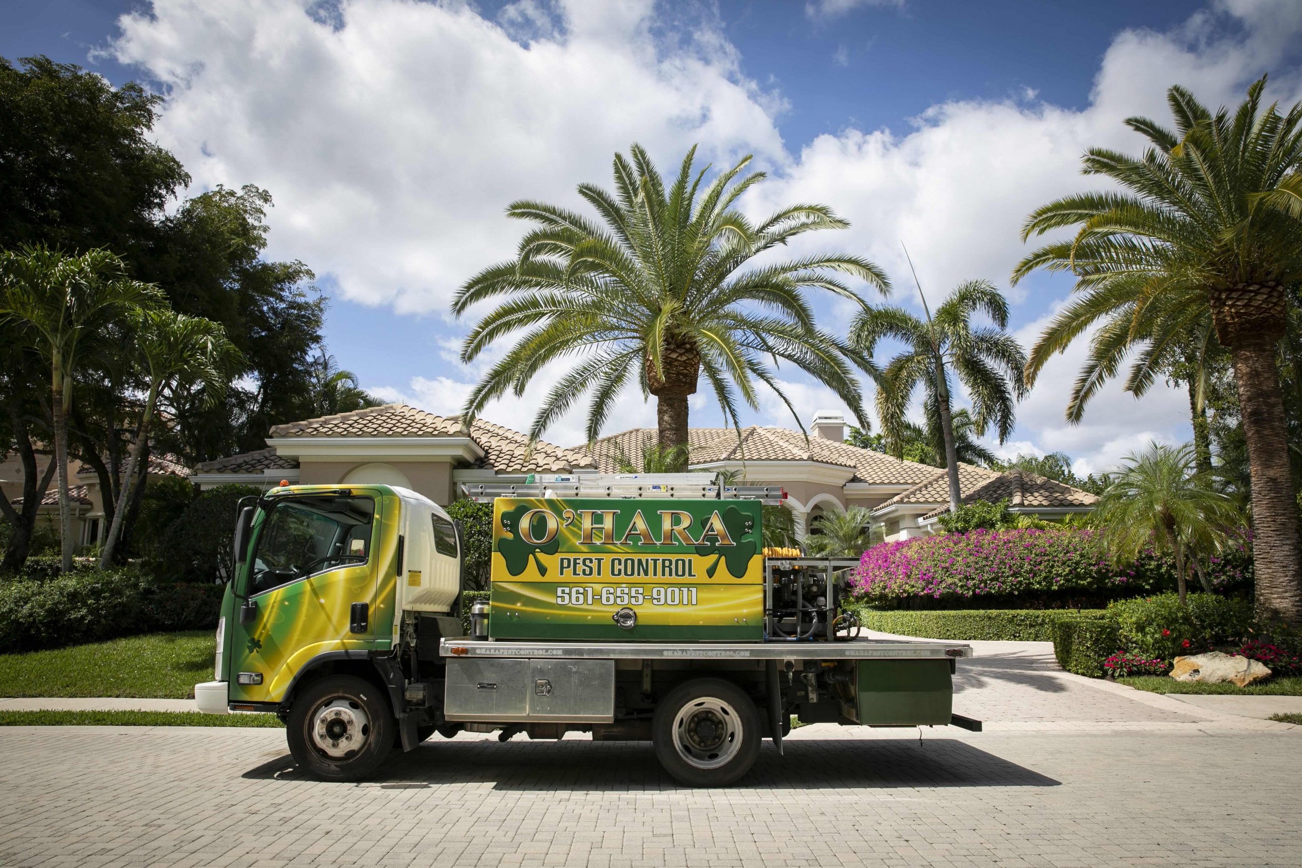 How Do Bed Bugs Get Into My Home?