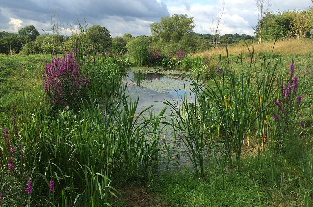 Services Habitat Creation, Recreation and Restoration