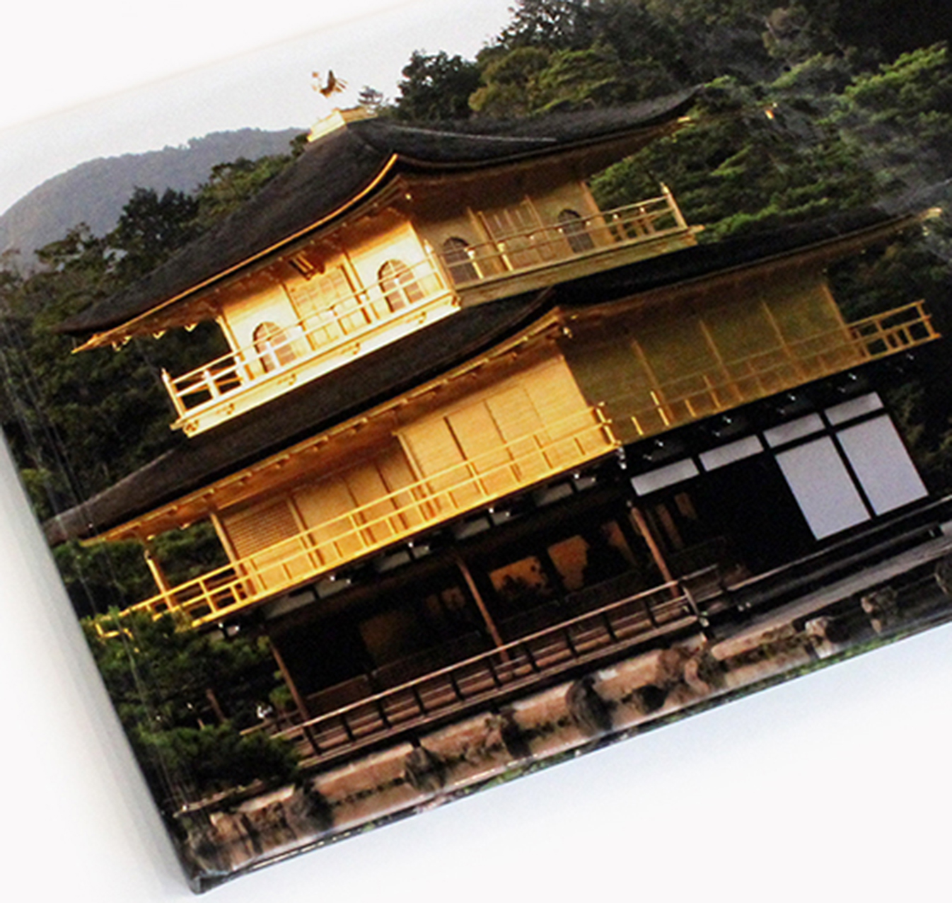 Acrylic Prints