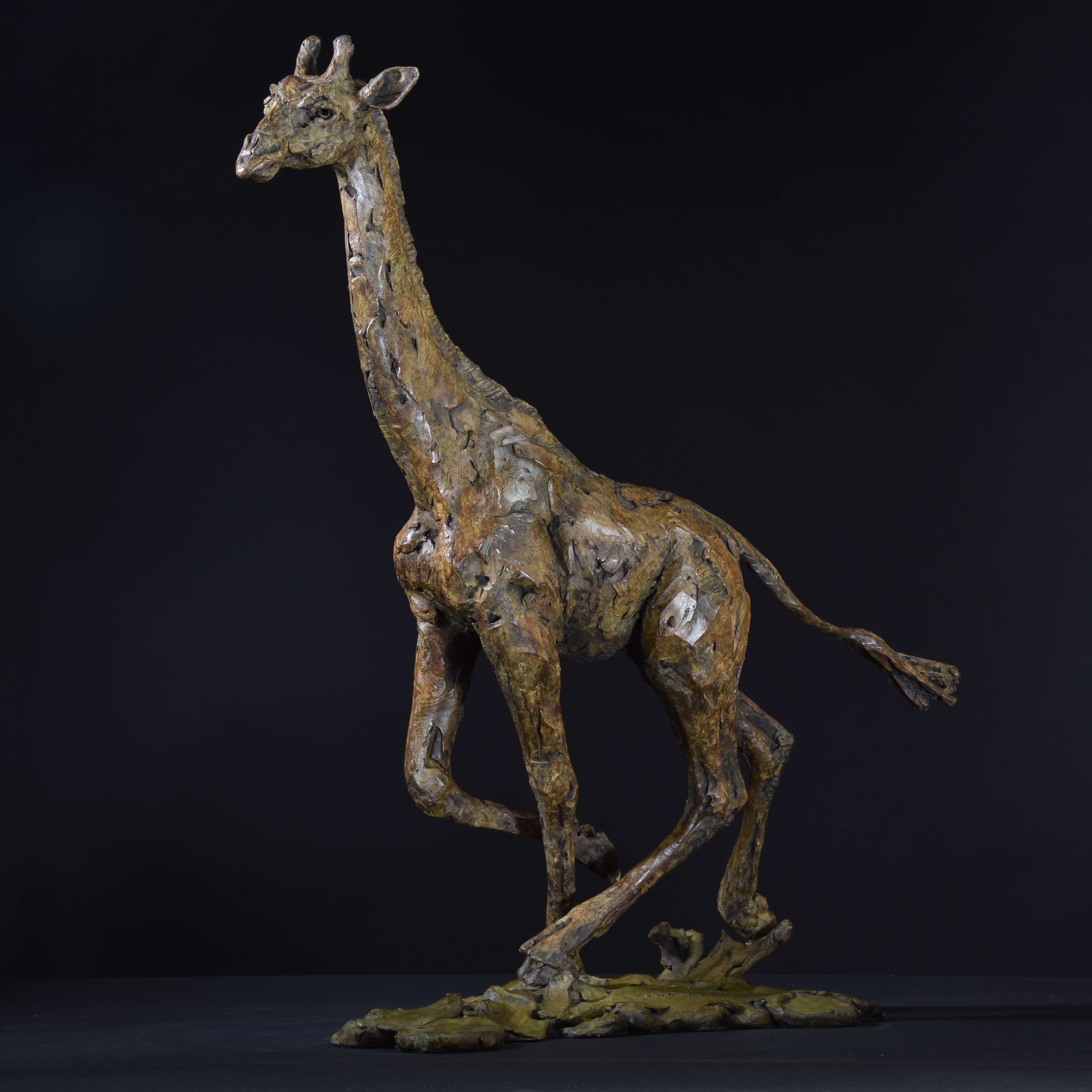 Giraffe Running by Hamish Mackie at Muse. The Sculpture Company