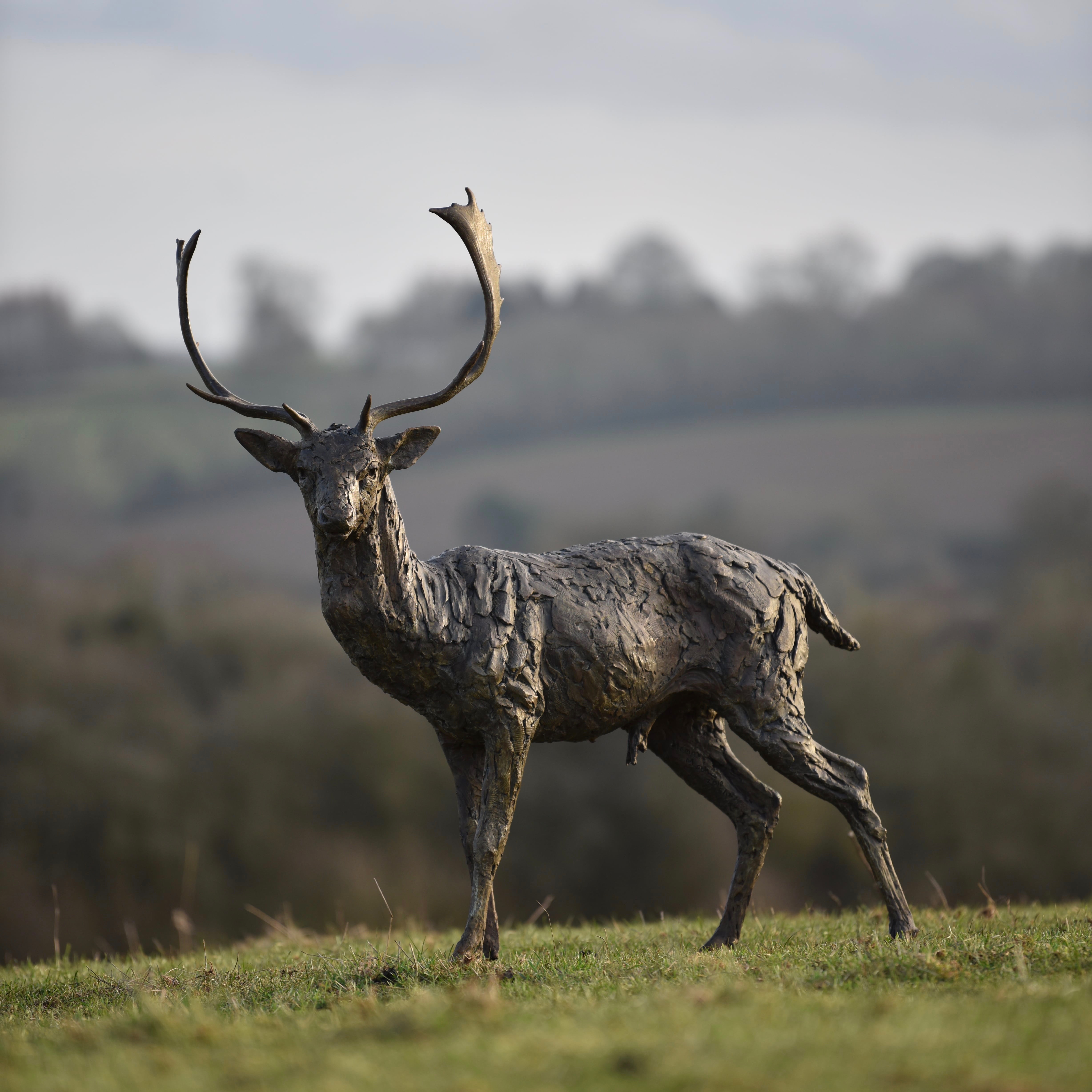 Fallow Buck Standing by Hamish Mackie at Muse. The Sculpture Company