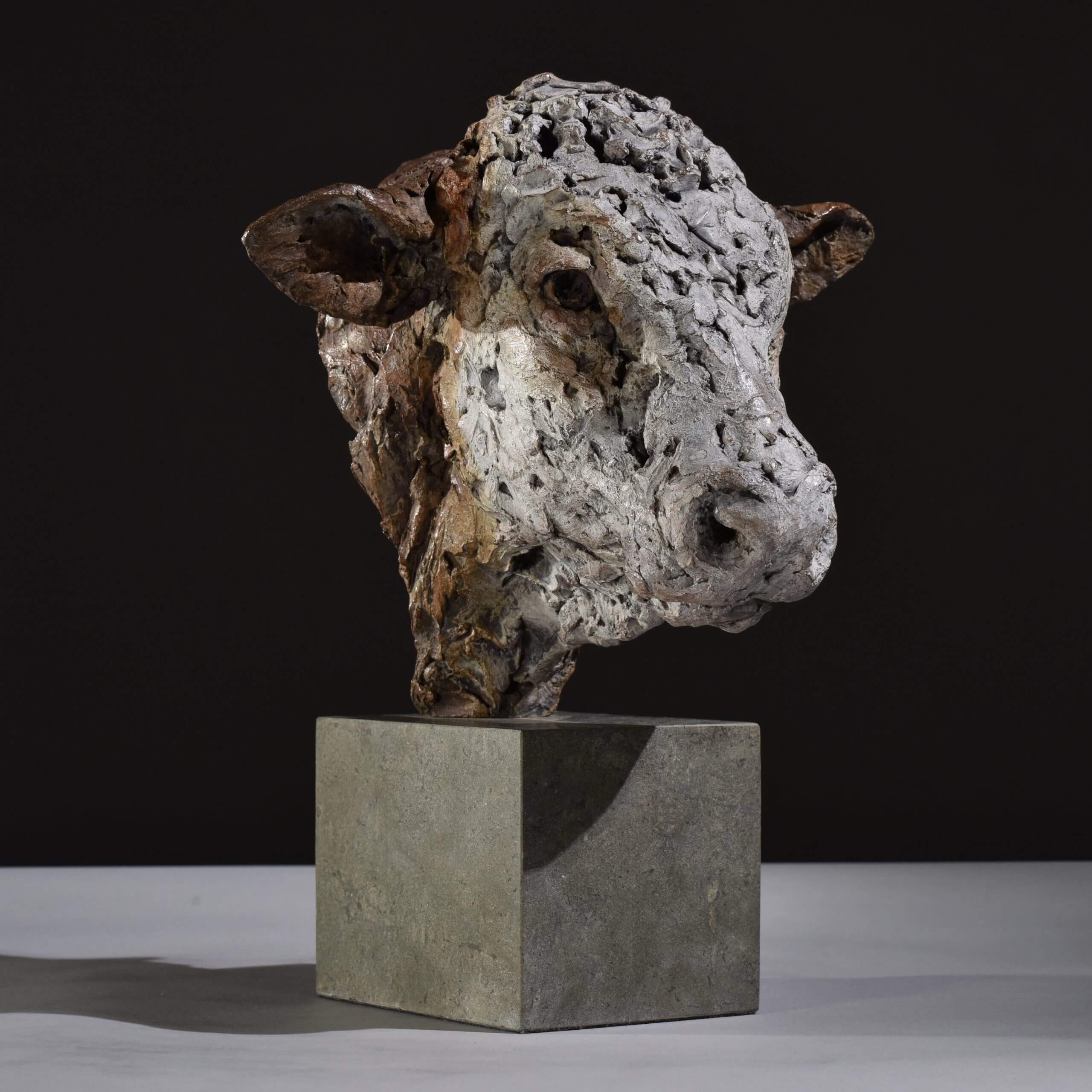Hereford Head by Hamish Mackie at Muse. The Sculpture Company