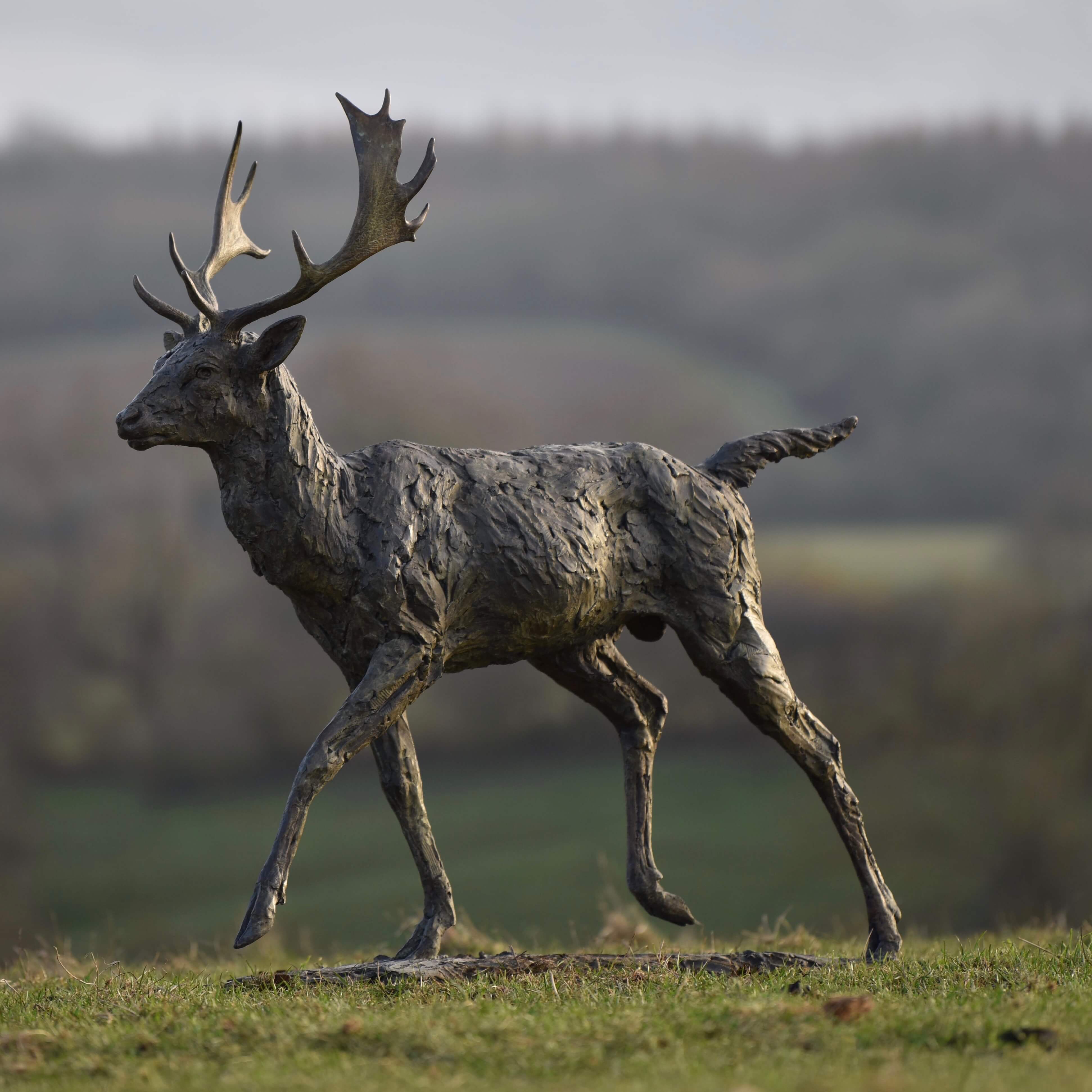 Fallow Buck Running by Hamish Mackie at Muse. The Sculpture Company