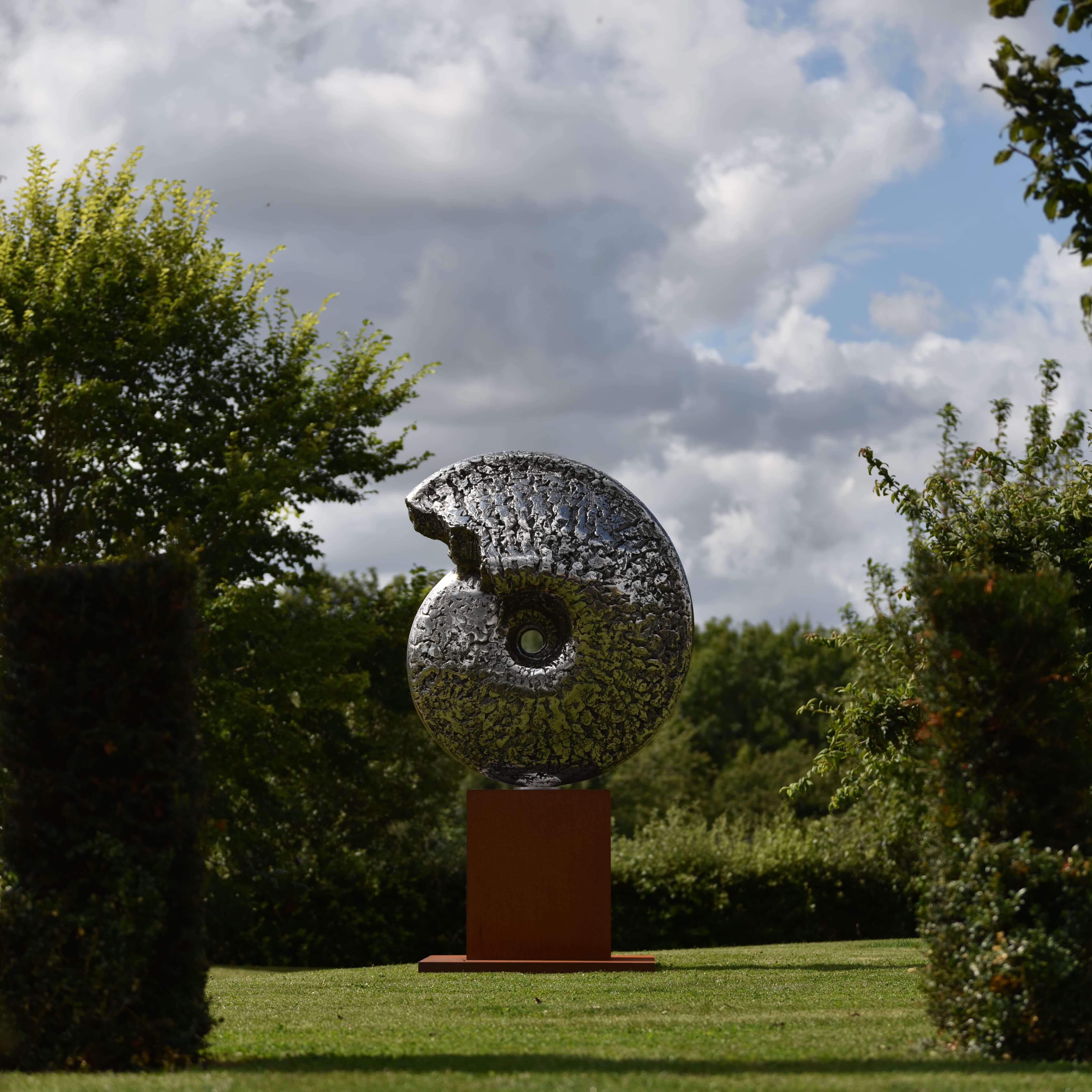 Ammonite Cretaceous by Hamish Mackie at Muse. The Sculpture Company